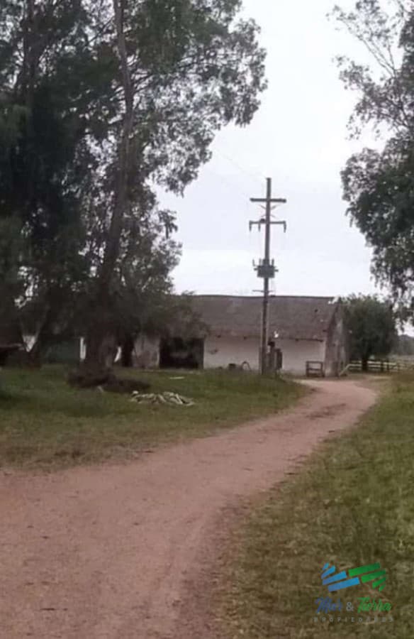 445 Has Campo Ganadero