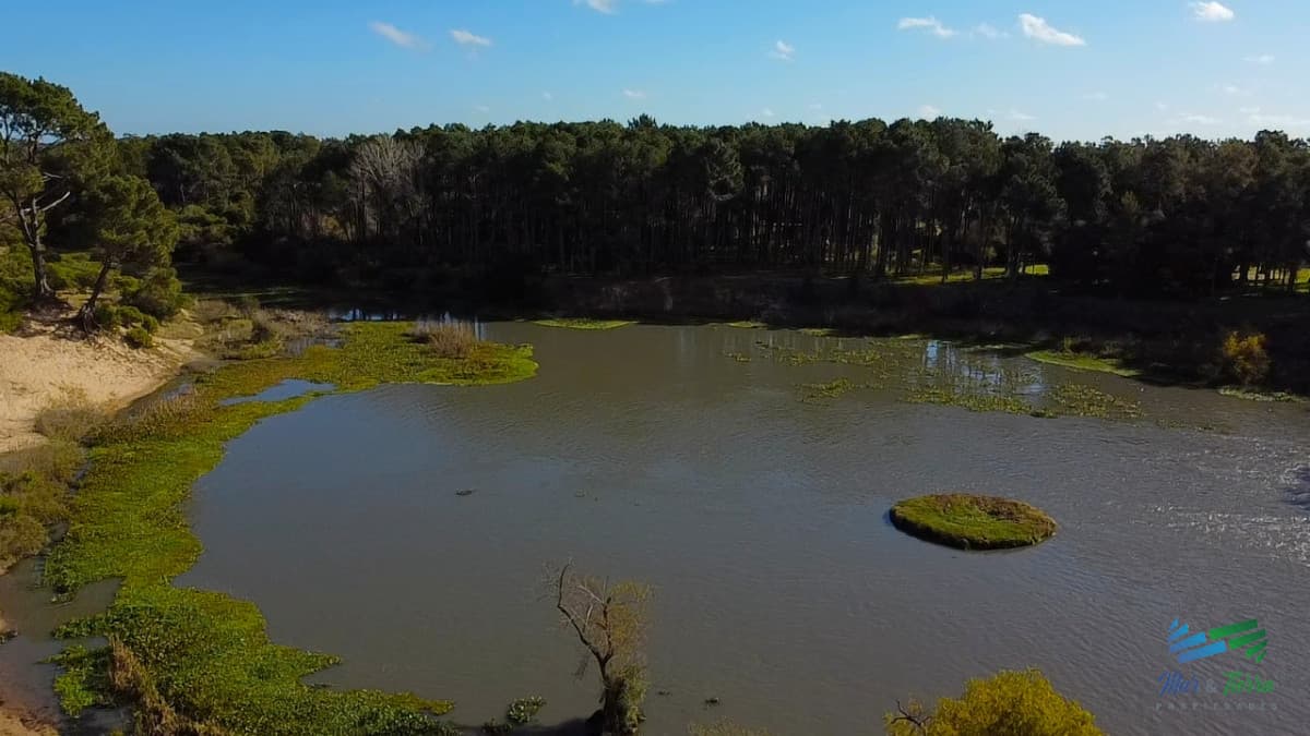 Venta de terreno de 1494 m2 en club del lago Punta Ballena