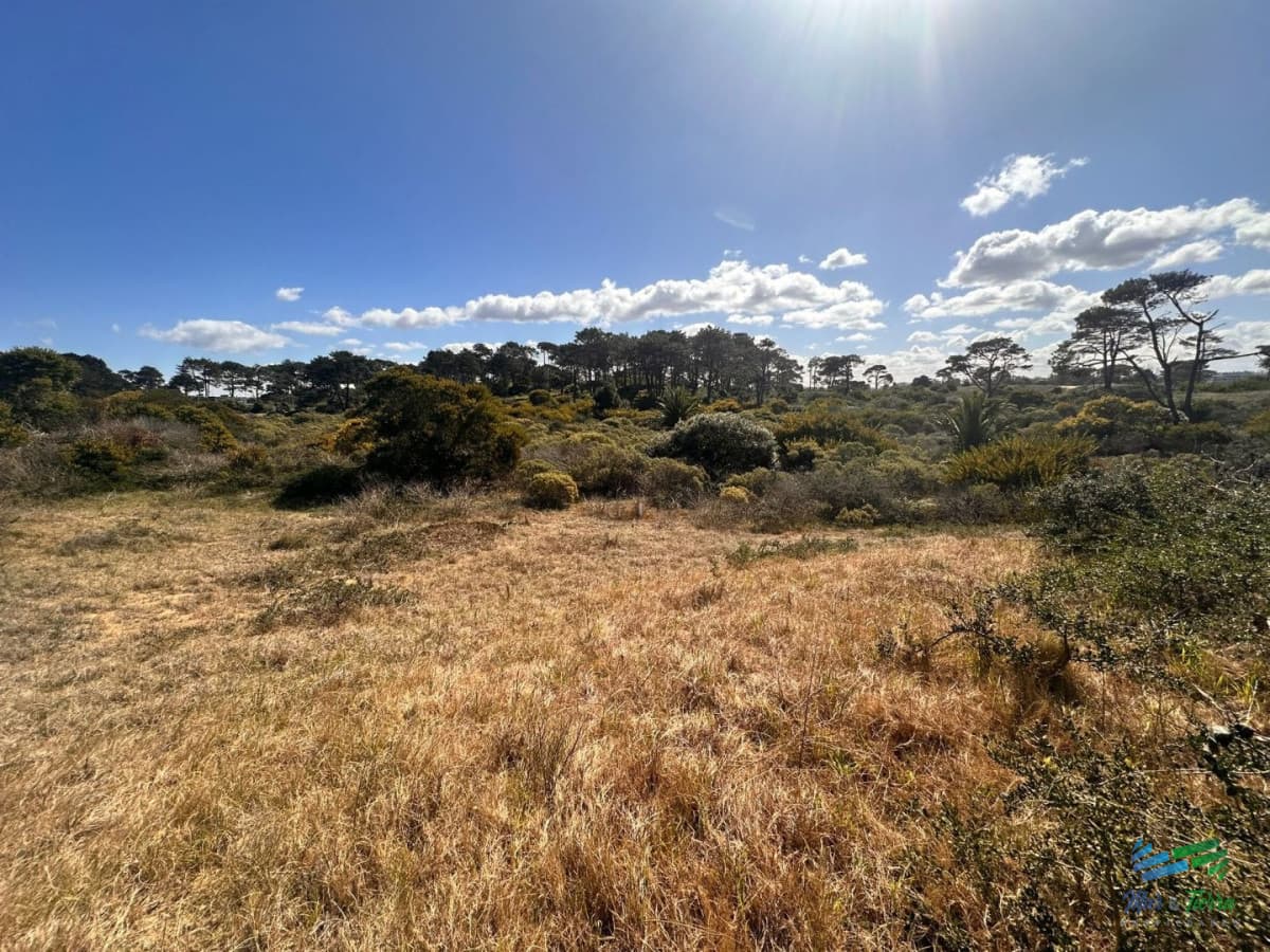 En venta terreno 1.030 m2 en Rincon del Indio, Punta del Este
