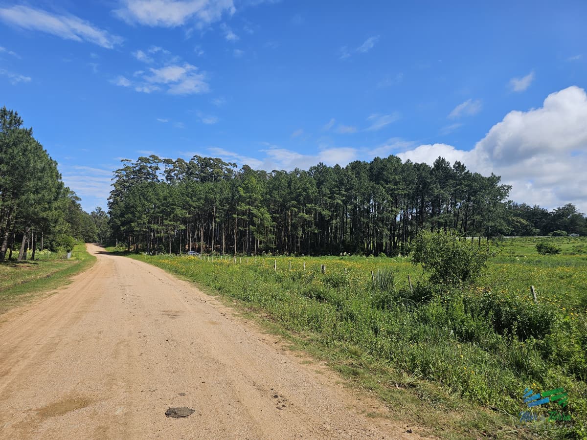 Venta de terreno de 4.000 m2 en las Silvias Punta del Este, Laguna del diario