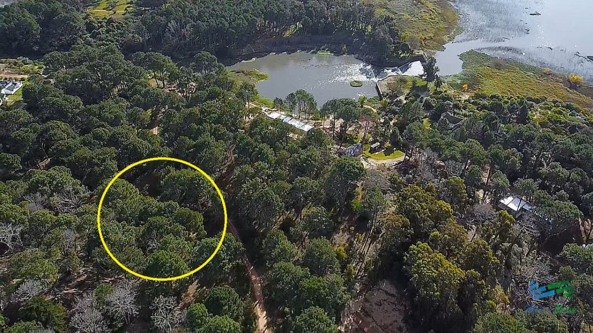 Venta de terreno de 1494 m2 en club del lago Punta Ballena