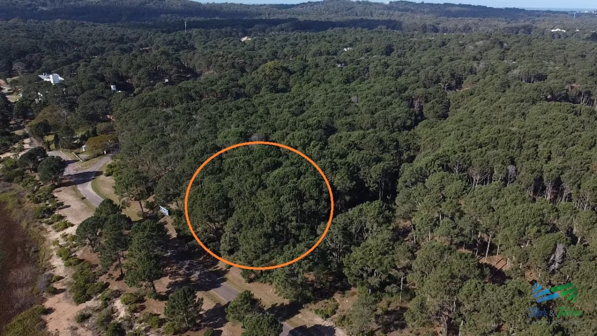 Venta de terreno en club del lago Punta Ballena
