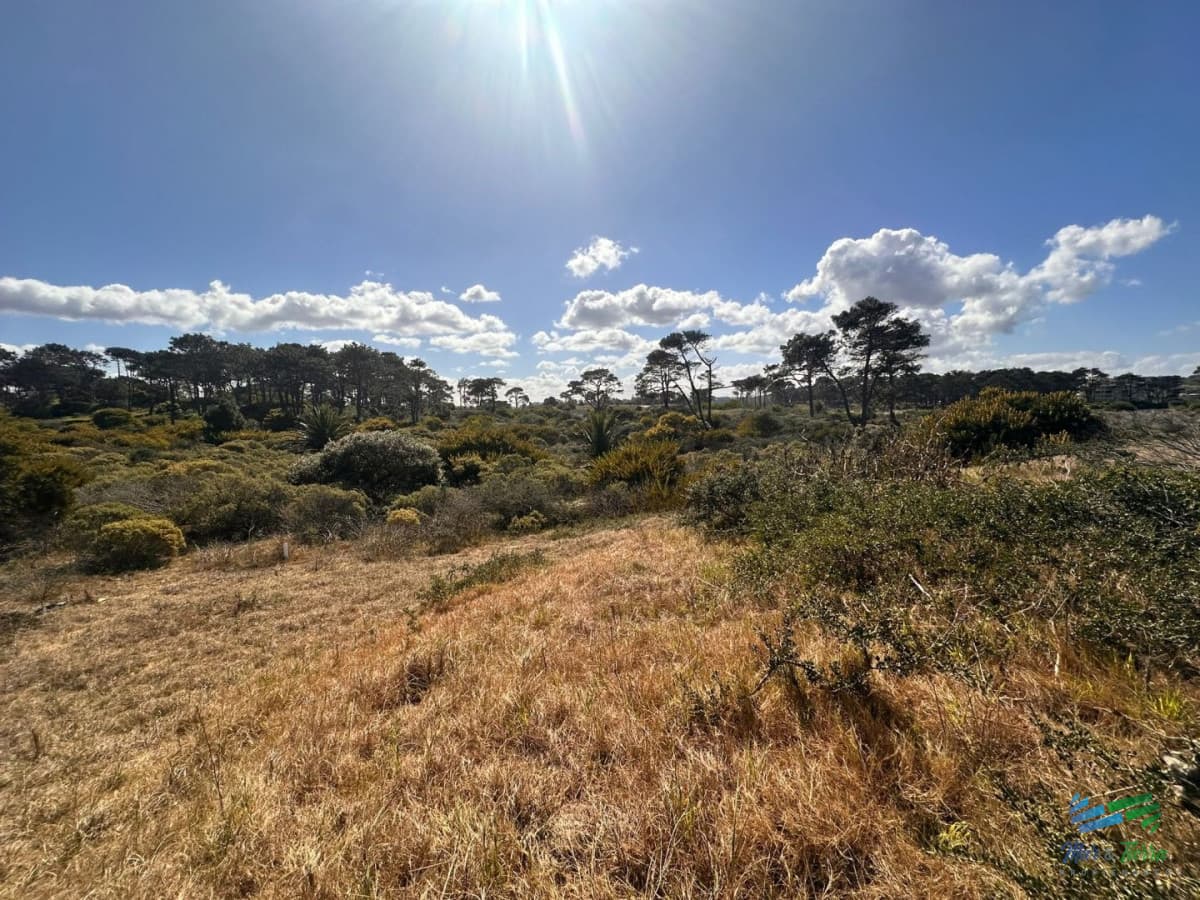 En venta terreno 1.030 m2 en Rincon del Indio, Punta del Este