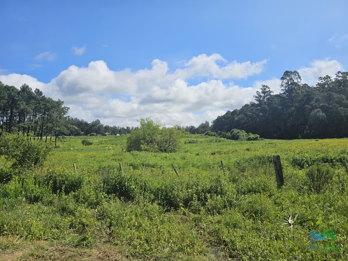 Venta de terreno de 4.000 m2 en las Silvias Punta del Este, Laguna del diario