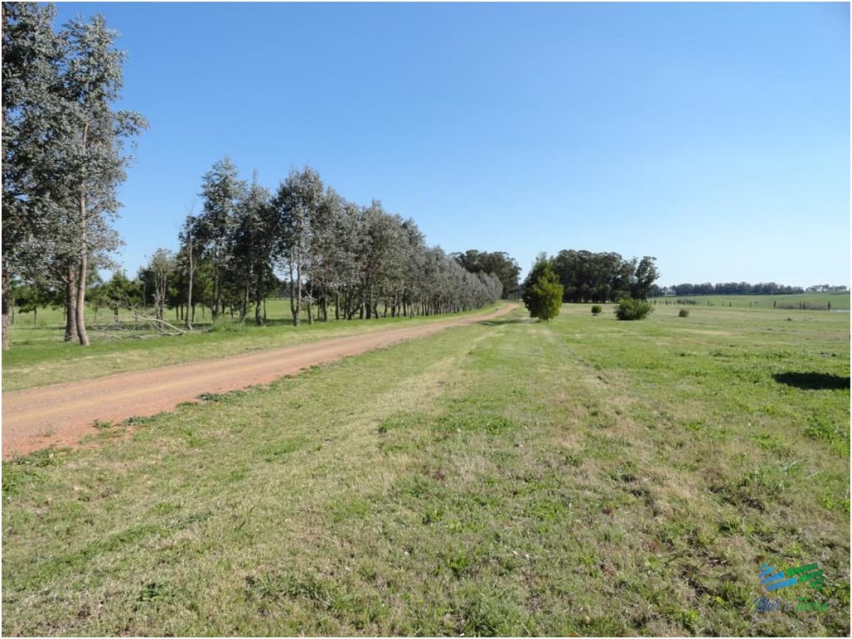 Terreno en Punta del Este, Ruta Interbalnearia