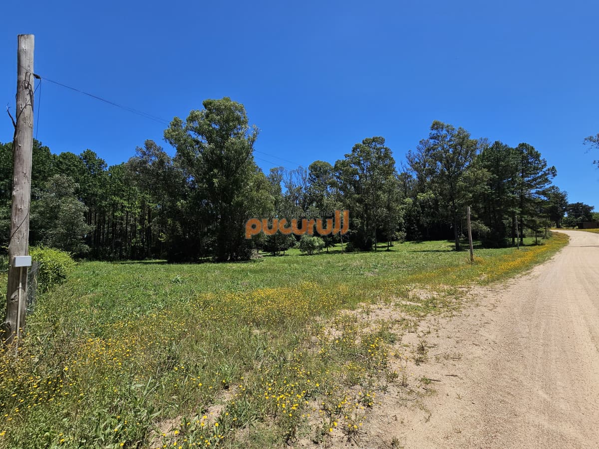 Vendo terreno de 1 hectárea tipo chacra en Laguna del Diario, Punta del Este