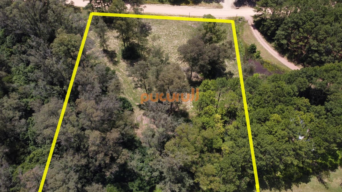 Vendo terreno de 1 hectárea tipo chacra en Laguna del Diario, Punta del Este