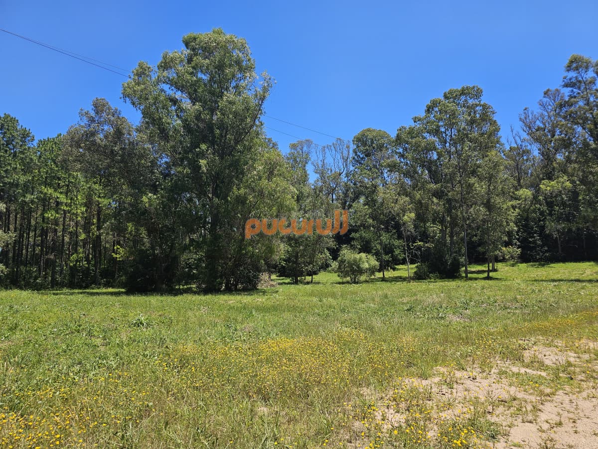 Vendo terreno de 1 hectárea tipo chacra en Laguna del Diario, Punta del Este