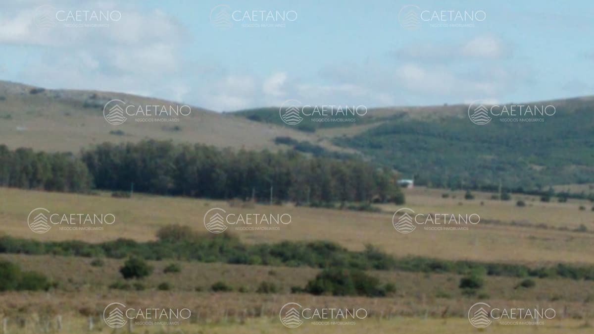 Chacra en venta, San Carlos, zona Partido Norte