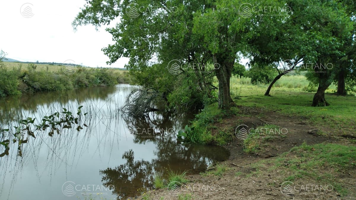 Chacra en venta, San Carlos, zona Partido Norte