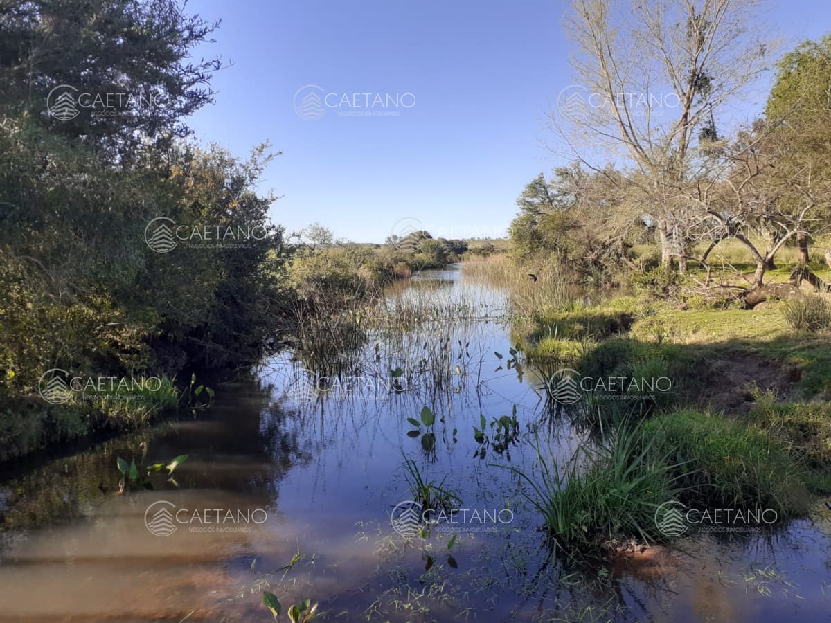 Chacra en venta, San Carlos, zona Partido Norte