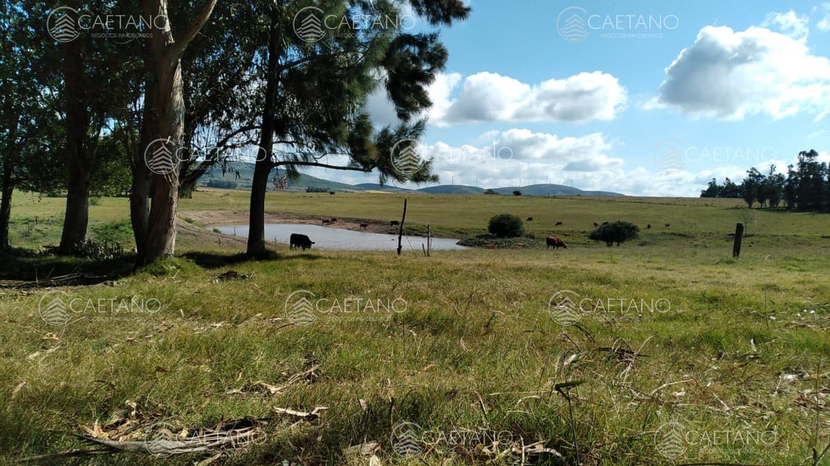 Chacra en venta, San Carlos, zona Partido Norte