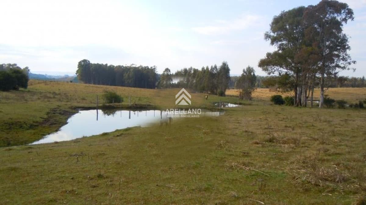 Chacra ID.3993 - Chacra en venta ubicada a 2 km de la ciudad de Aigua