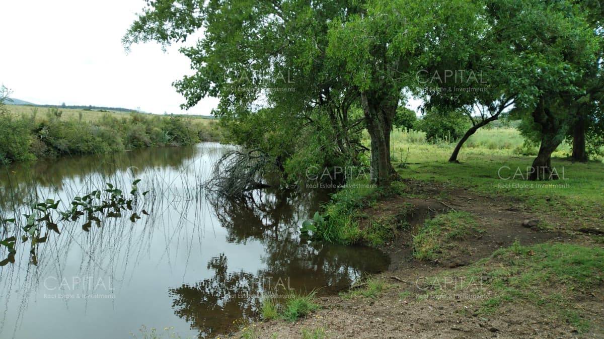 Chacra en venta, San Carlos, zona Partido Norte
