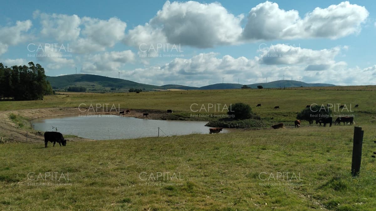 Chacra en venta, San Carlos, zona Partido Norte