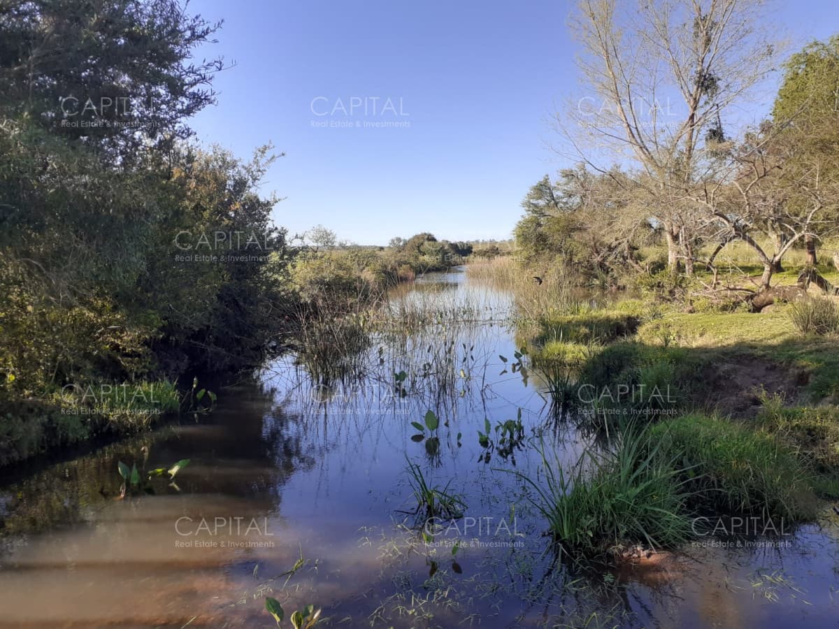 Chacra en venta, San Carlos, zona Partido Norte