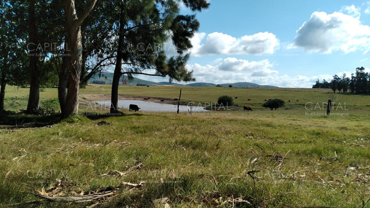 Chacra en venta, San Carlos, zona Partido Norte