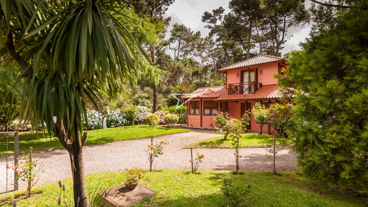 CASA, 3 DORMITORIOS, 2 BAÑOS, SOLANAS BOSQUE, PUNTA BALLENA, ALQUILER - Bintang Propiedades