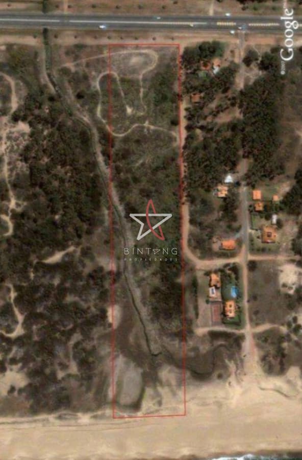 CHACRA, DEARROLLO, SOBRE EL MAR, VENTA, PUNTA BALLENA - Bintang Propiedades