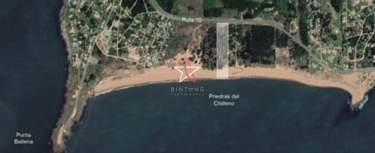 CHACRA, DEARROLLO, SOBRE EL MAR, VENTA, PUNTA BALLENA - Bintang Propiedades