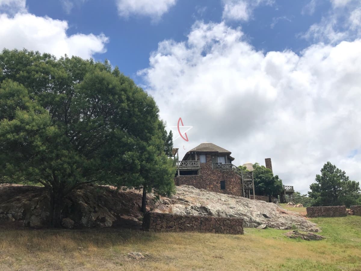 CHACRA, PUNTA BALLENA, PUNTA DEL ESTE, VENTA - Bintang Propiedades