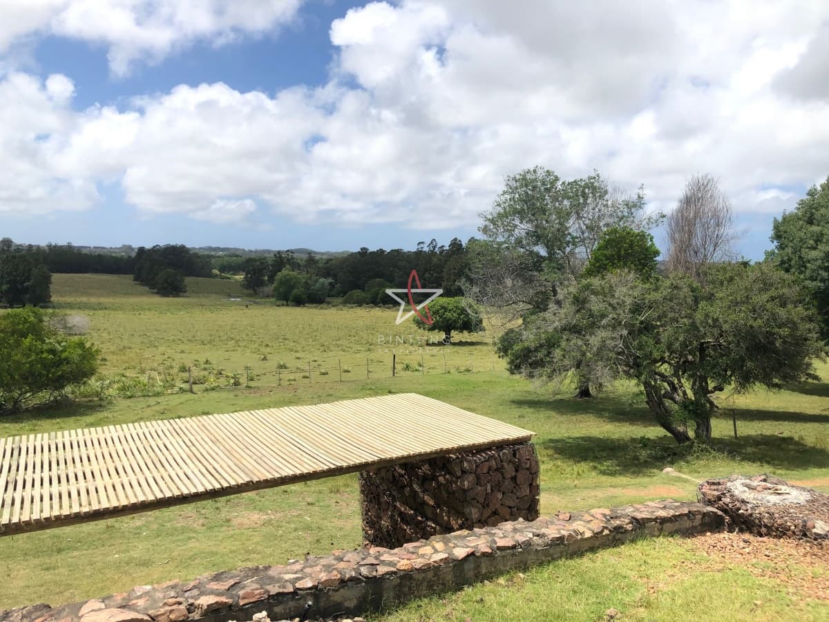 CHACRA, PUNTA BALLENA, PUNTA DEL ESTE, VENTA - Bintang Propiedades