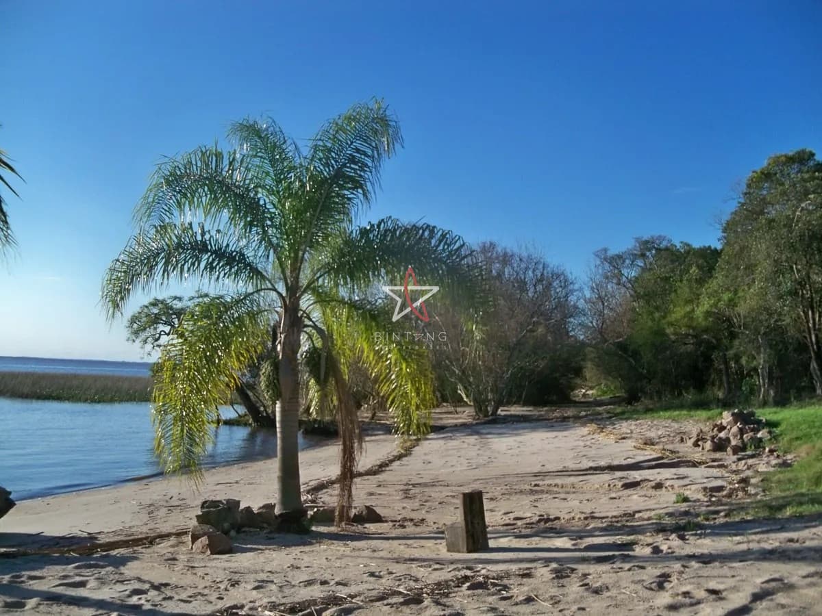 Chacra de 5.145m2,Barrio Campo Chico, Carmelo, Colonia, Venta - Bintang Propiedades