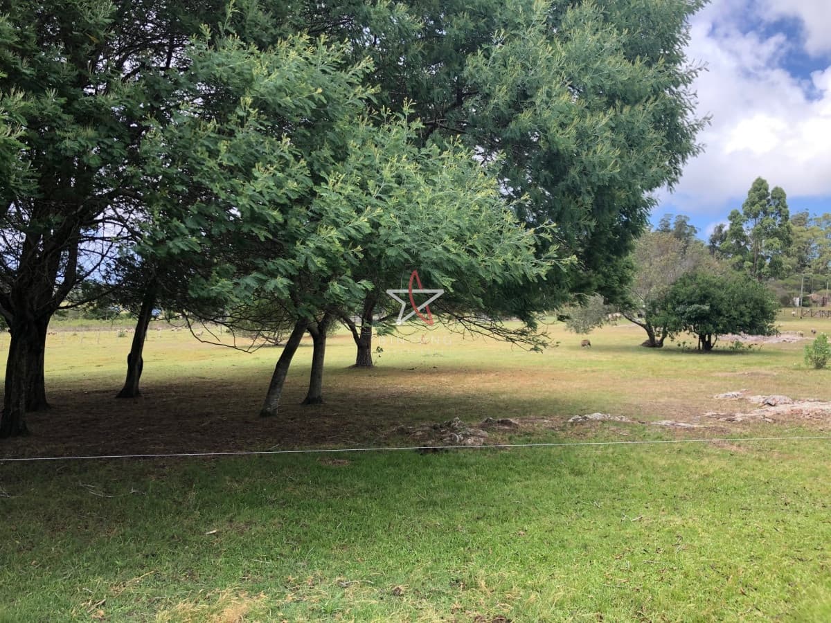 CHACRA, PUNTA BALLENA, PUNTA DEL ESTE, VENTA - Bintang Propiedades