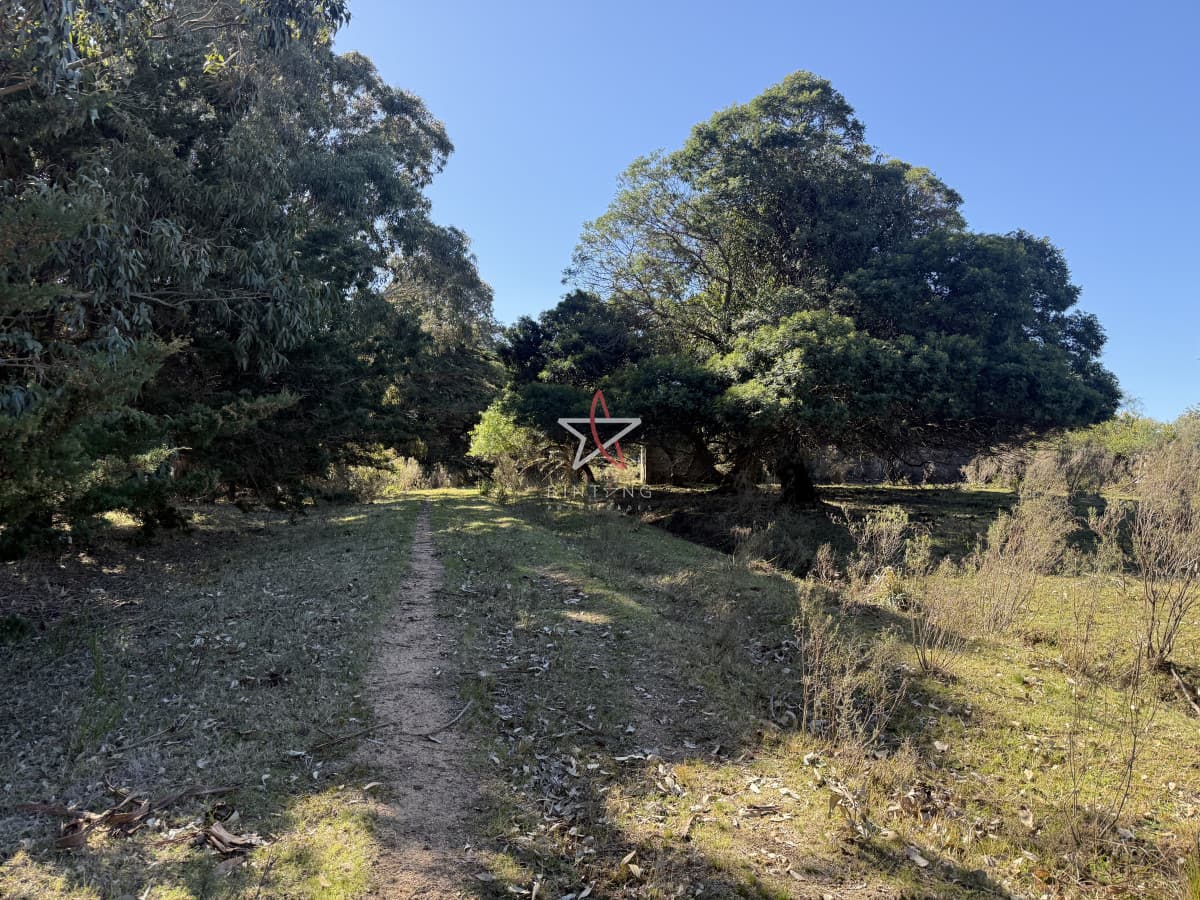 Campo, Garzón, José Ignacio, Venta, 31HA - Bintang Propiedades