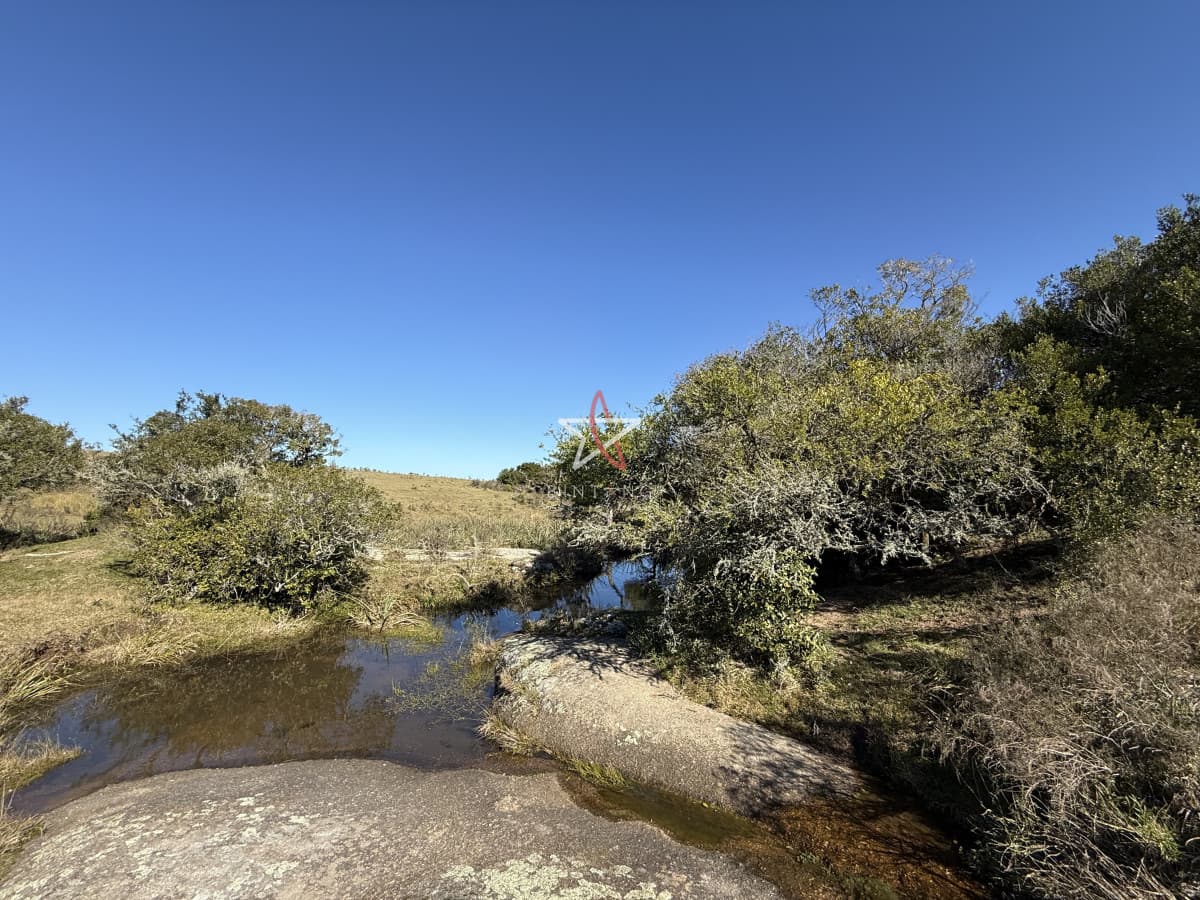 Campo, Garzón, José Ignacio, Venta, 31HA - Bintang Propiedades