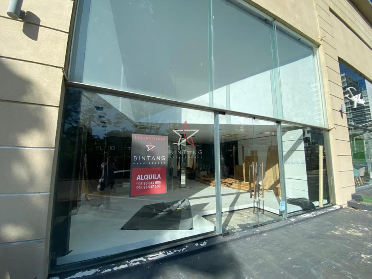LOCAL, VENTA, CON RENTA, 8 LOCALESM PUNTA DEL ESTE, PENINSULA - Bintang Propiedades