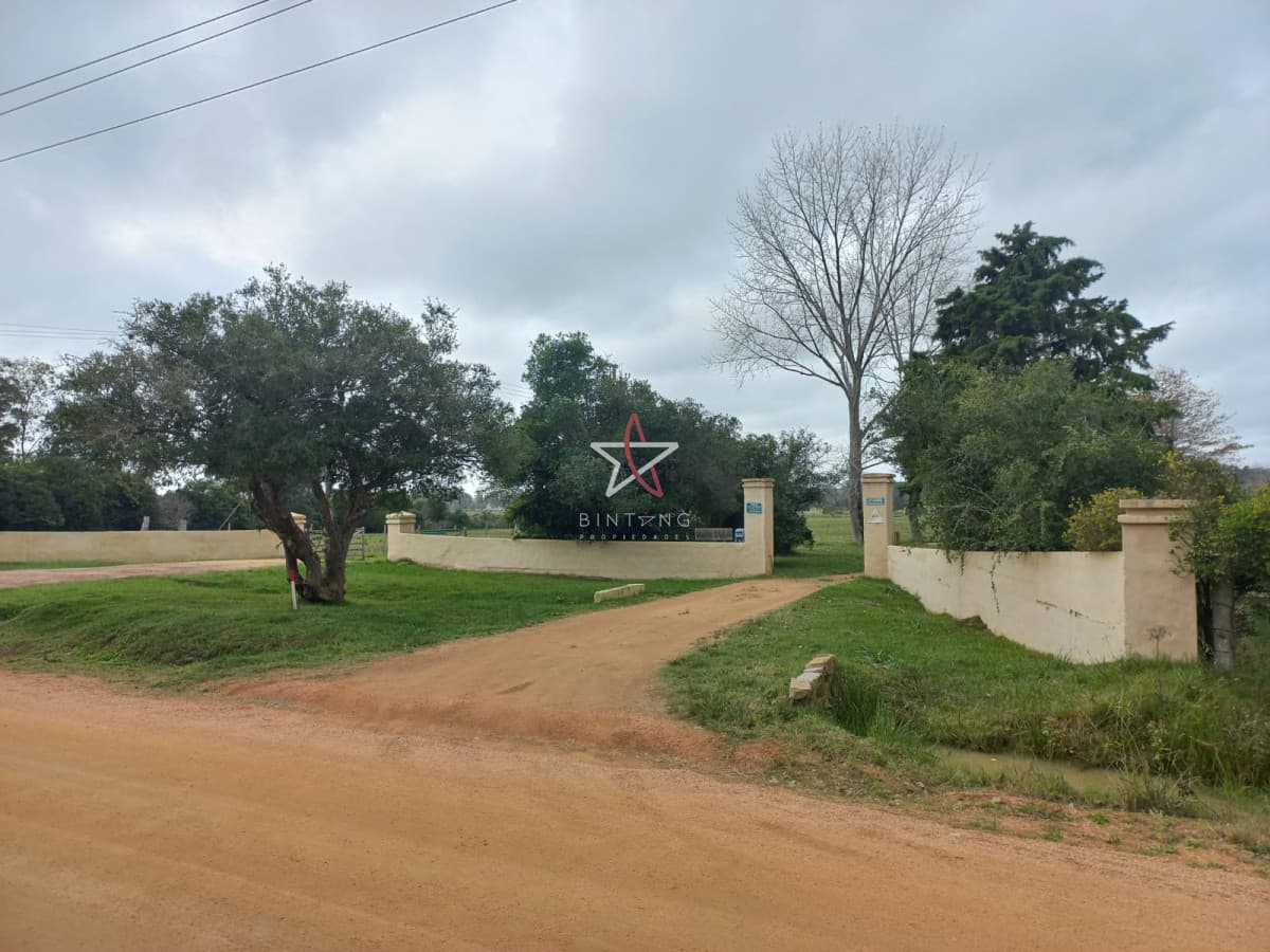 TERRENO, PUNTA BALLENA, LA PATAIA, VENTA - Bintang Propiedades