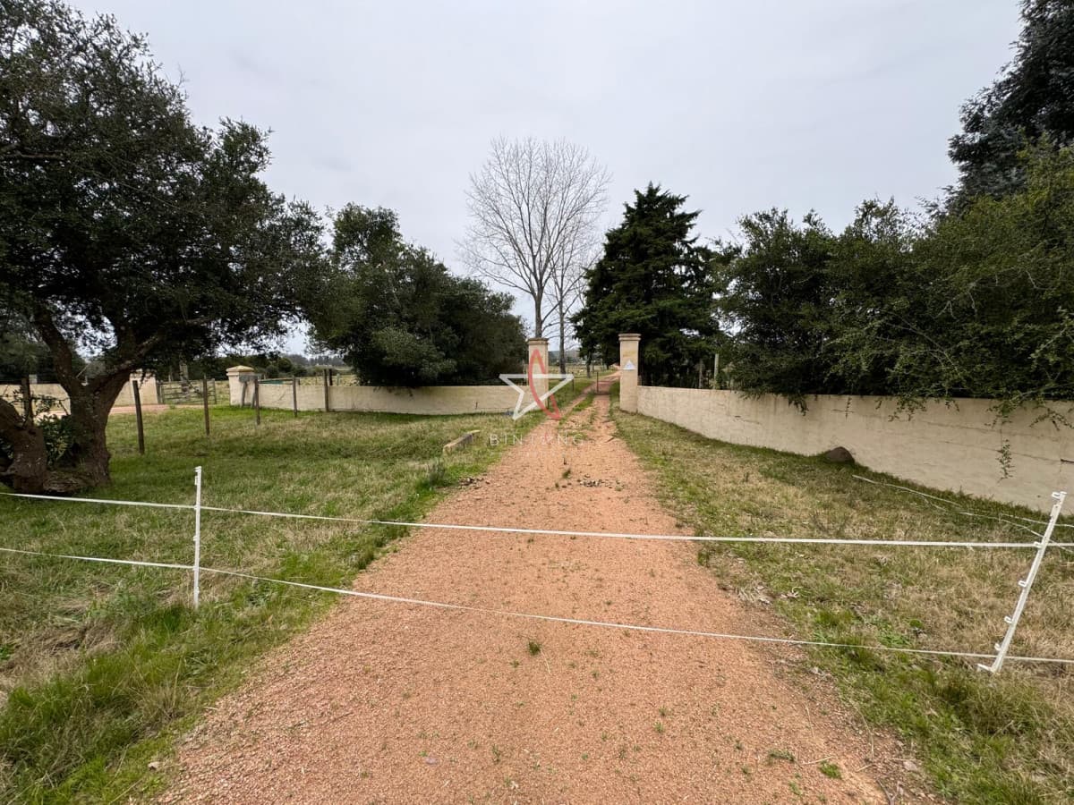 TERRENO, PUNTA BALLENA, LA PATAIA, VENTA - Bintang Propiedades