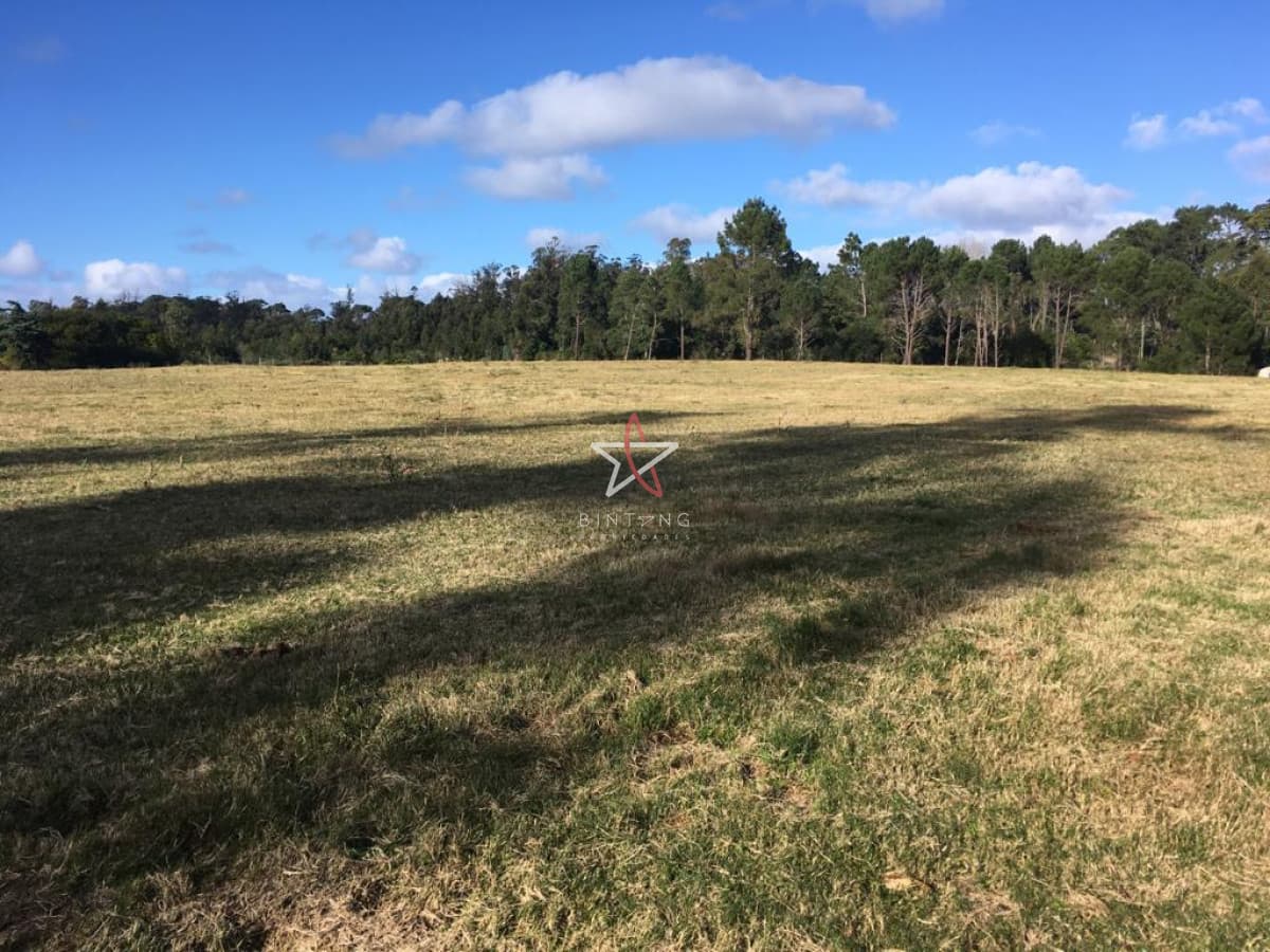 TERRENO, APARACIO SARAVIA, GOLF, PUNTA DEL ESTE, VENTA - Bintang Propiedades