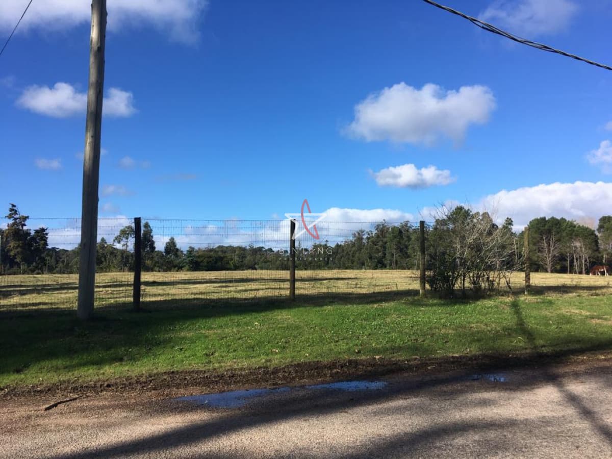 TERRENO, APARACIO SARAVIA, GOLF, PUNTA DEL ESTE, VENTA - Bintang Propiedades