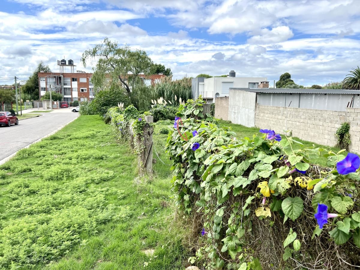 Terreno, Apto VIS, Maldonado, Venta - Bintang Propiedades