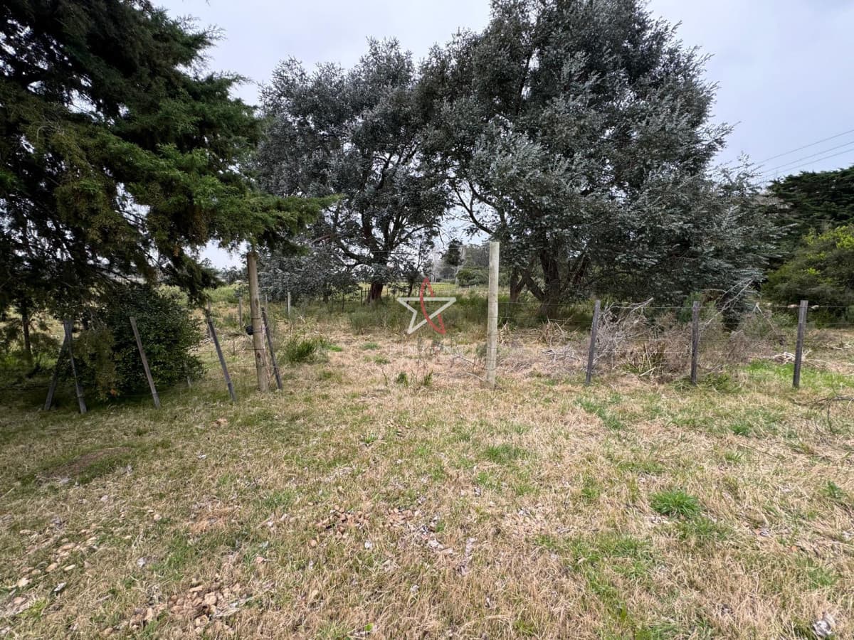 TERRENO, PUNTA BALLENA, LA PATAIA, VENTA - Bintang Propiedades
