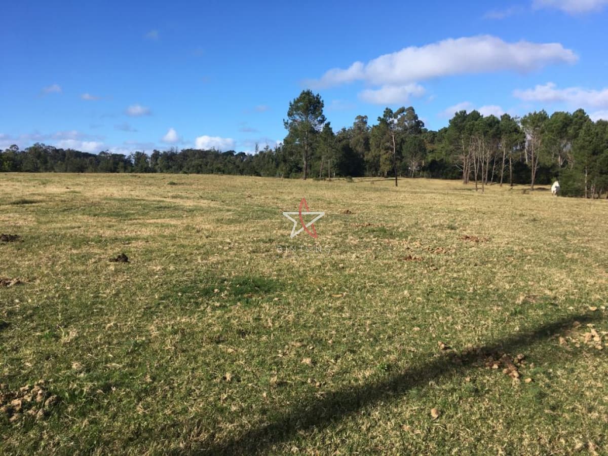 TERRENO, APARACIO SARAVIA, GOLF, PUNTA DEL ESTE, VENTA - Bintang Propiedades