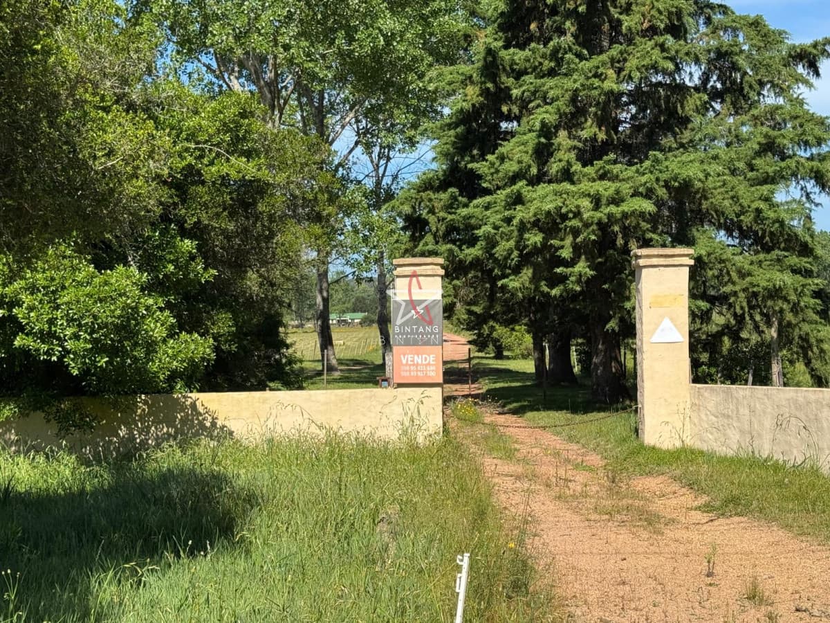 TERRENO, PUNTA BALLENA, LA PATAIA, VENTA - Bintang Propiedades
