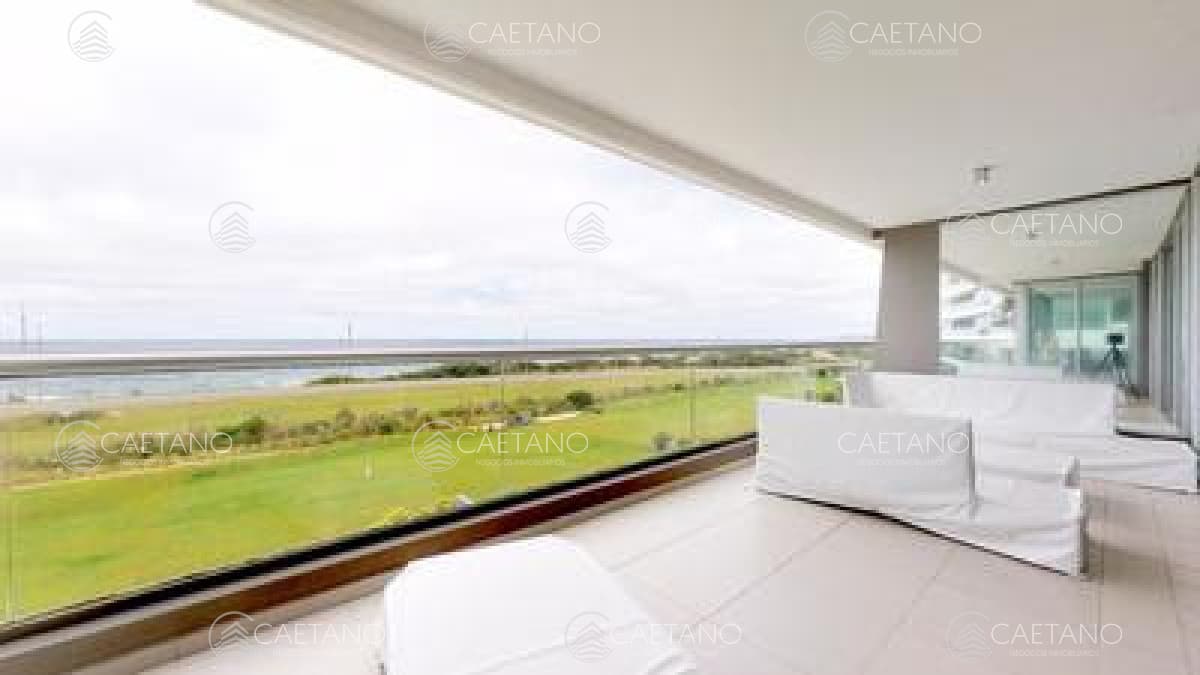 Tiburón Terrazas Océano