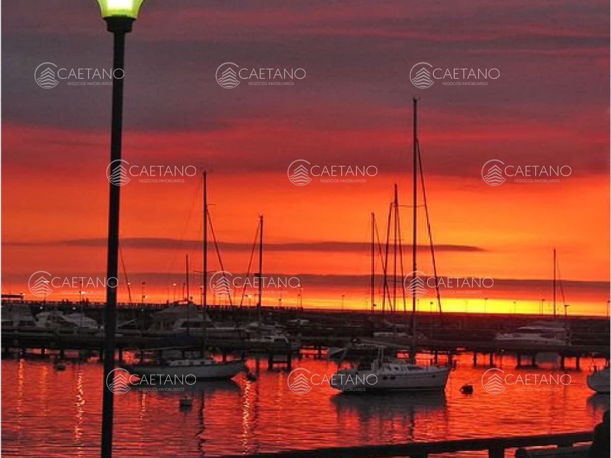 Alquiler temporal apartamento 4 dormitorios, Puerto de Punta del Este
