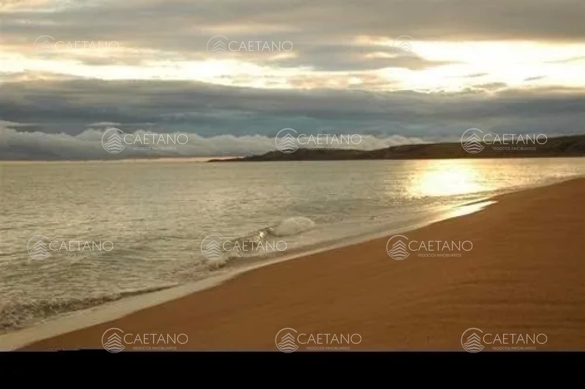 En alquiler anual, imperdible punto, excelentes vistas!!!