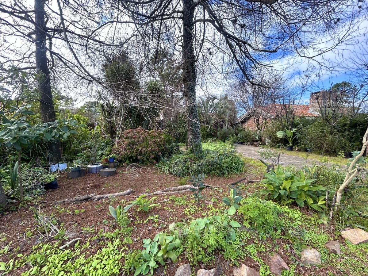 Venta casa en Parque Pinares, Maldonado. 3 dormitorios