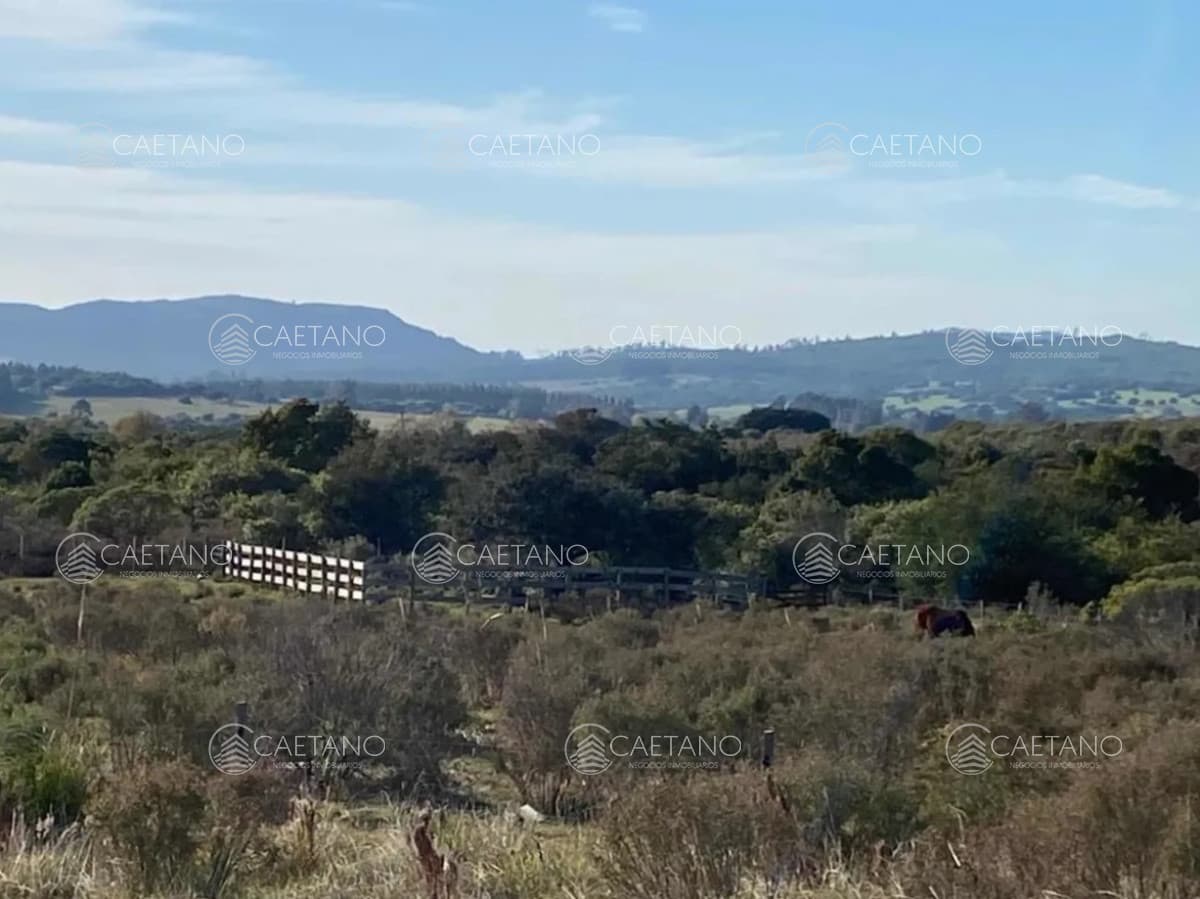 Venta chacra 5 hectáreas Pan de Azucar