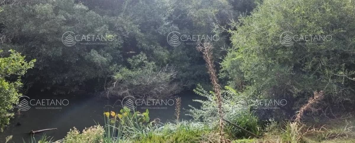 venta chacras ruta 12 Maldonado