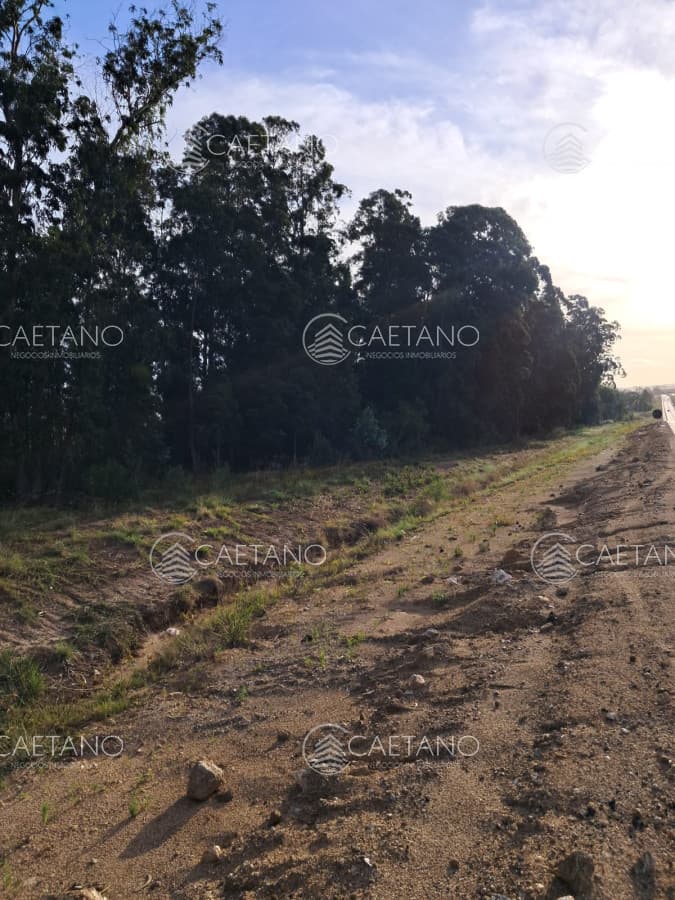 Venta Chacra Ruta 9