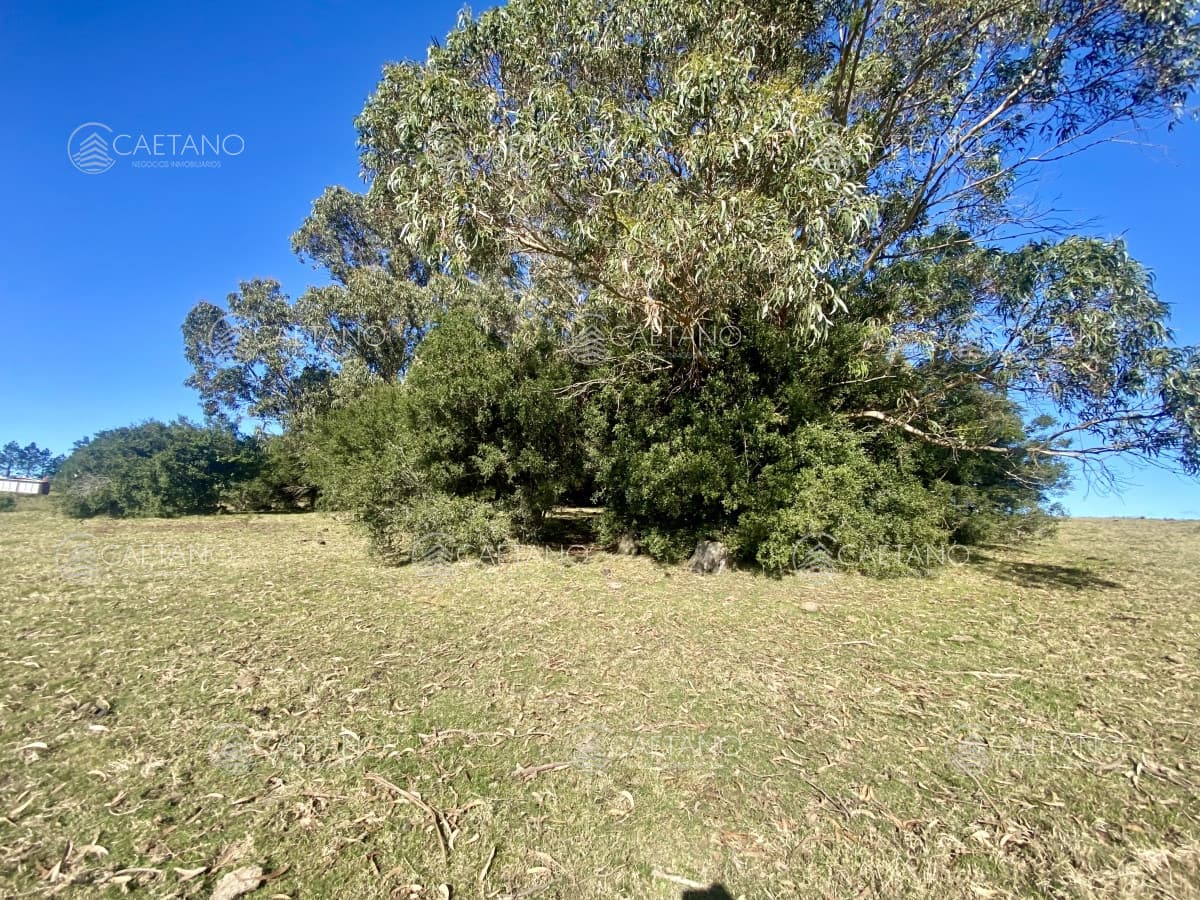 Venta chacra 5 hectáreas. Pueblo Edén, Maldonado.