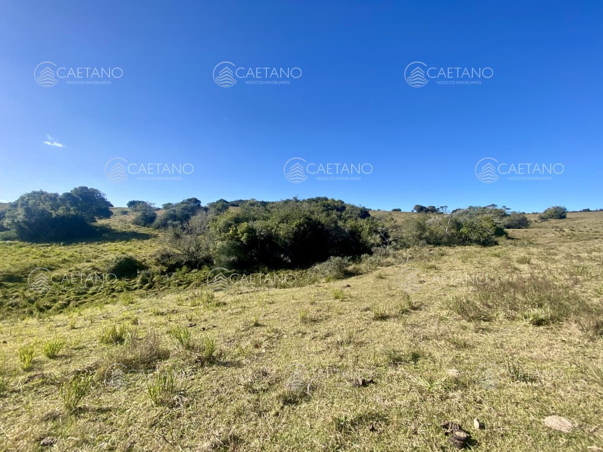Venta chacra 5 hectáreas. Pueblo Edén, Maldonado.