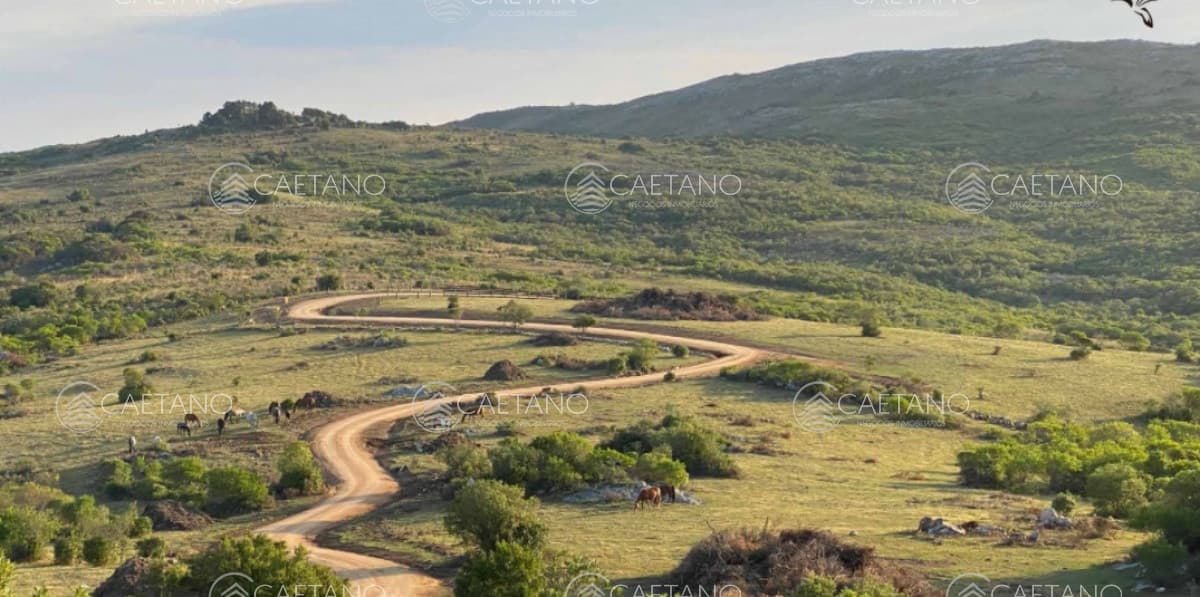 Venta chacra 5 hectareas. Pueblo Edén, Ruta 12 Maldonado.