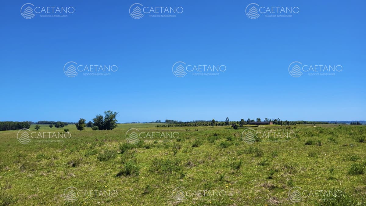 Venta chacra Jose Ignacio con costa Arroyo Anastasio